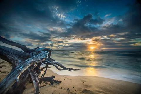 Sunset on the beach Stock Photos
