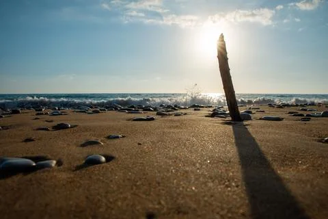 Sunset at the beach Stock Photos