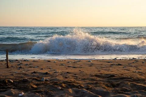 Sunset at the beach Stock Photos