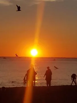 Sunset On Beach Stock Photos