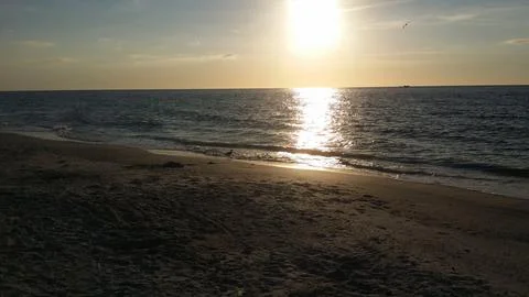 Sunset on the Beach 스톡 사진