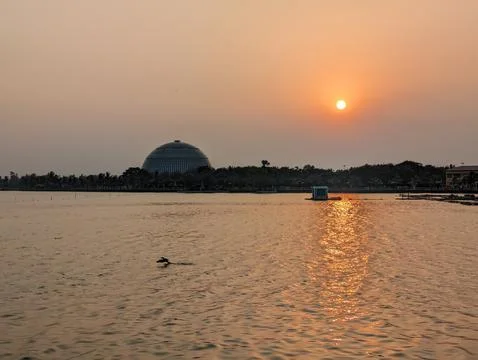 Sunset on the beach Stock Photos