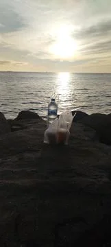 Sunset on the beach Stock Photos