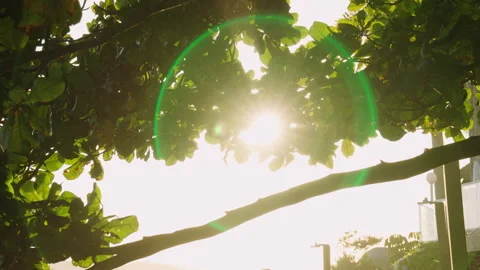 Sunset on the beach pier closeup Stock Footage 309724639