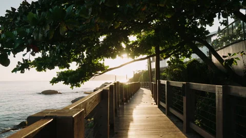 Sunset on the beach pier Stock Footage 309724844