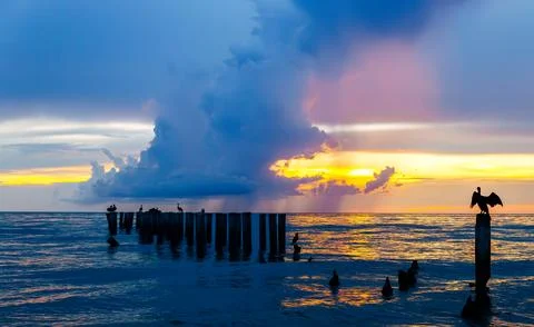 Sunset at Beach with Rain Cloud and Bird Perched on Wood Post in Water Stock Photos