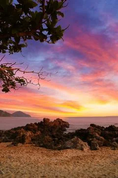 Sunset at the beach with rocks and tree Stock Photos