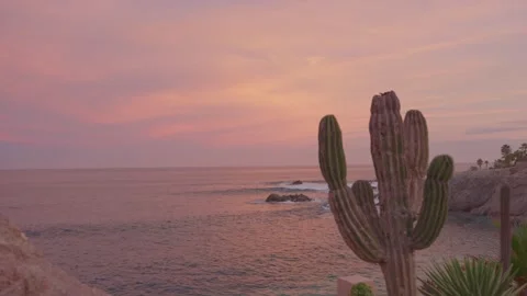 Sunset on the beach with rocks in the background and some cacti, golden hour Vídeo Stock 280446952