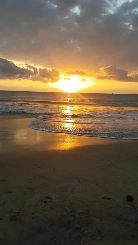 Sunset Beach with Rolling Waves and Golden Reflections Video stock 318211692