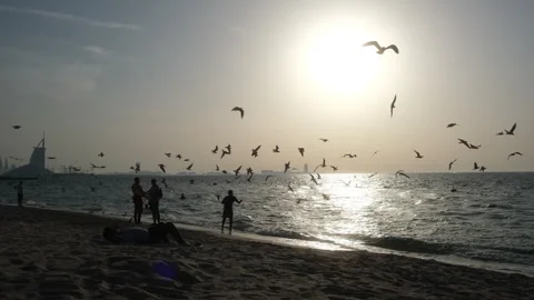 A sunset beach scene with seagulls in flight evokes peace and beauty Stock Footage 308644284