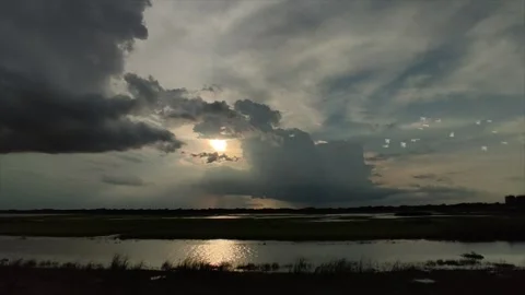 Sunset Beach Seagulls Flight Animation Stock Footage 325329569
