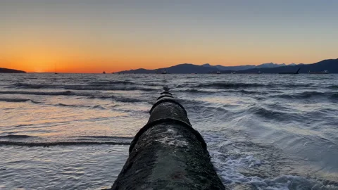 Sunset at the beach with seagulls Video stock 237106826