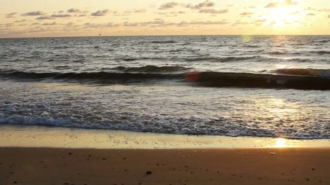 Sunset on the beach with seagulls, waves, reflections and lense flares Stock Footage