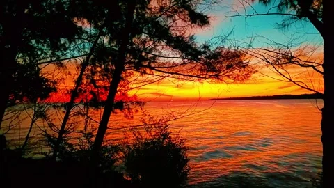Sunset on the beach with silhouette of trees. Stock Footage 297035147