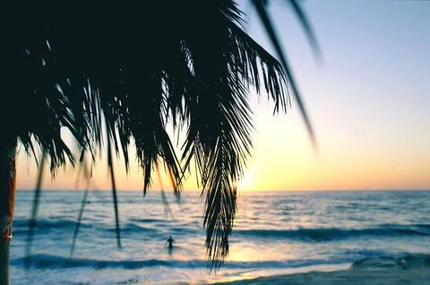 Sunset beach summer Stock Photos