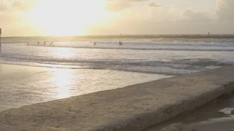 Sunset at the beach of Tel Aviv - surfers in water Stock Footage 100708569