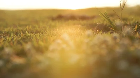 Sunset on the beach at thailand Stock Footage 126073955