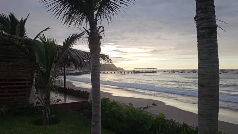 Sunset Beach Through Palm Trunks Toward Distant Pier, Máncora, Peru 8K Stock Footage 331483353