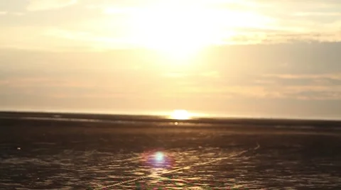 Sunset on Beach Tilt 50fps Stock Footage 50244181