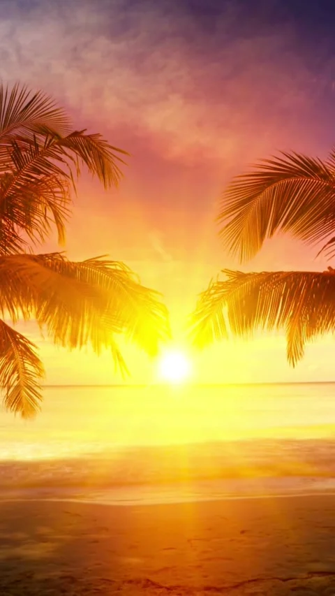 Sunset, beach, timelapse Stock Footage 314986482