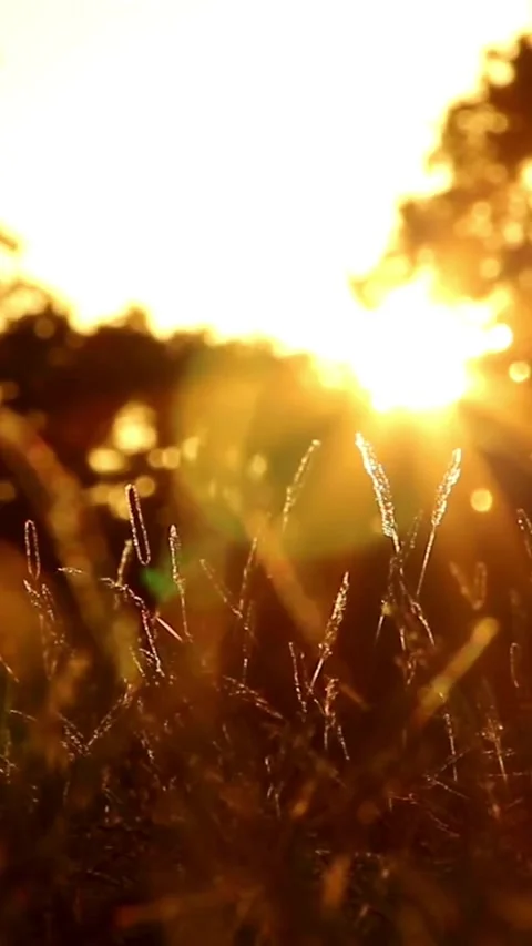 Sunset, beach, timelapse Stock Footage 314986494