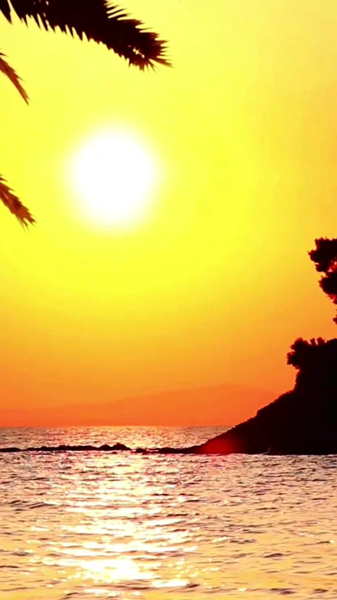 Sunset, beach, timelapse Stock Footage 314986503