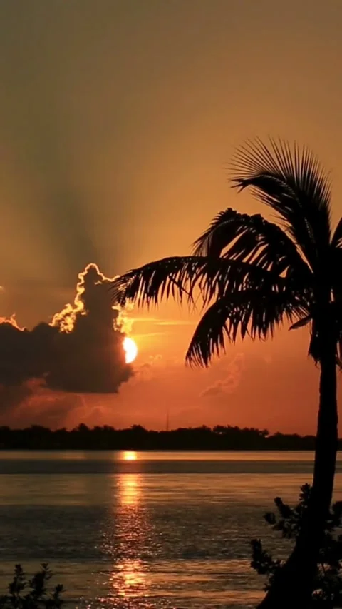 Sunset, beach, timelapse Stock Footage 314986526