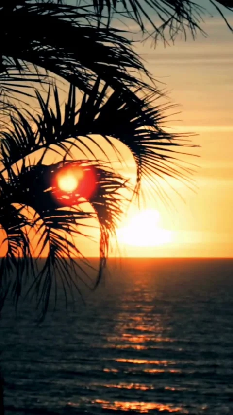 Sunset, beach, timelapse Stock Footage 314986566