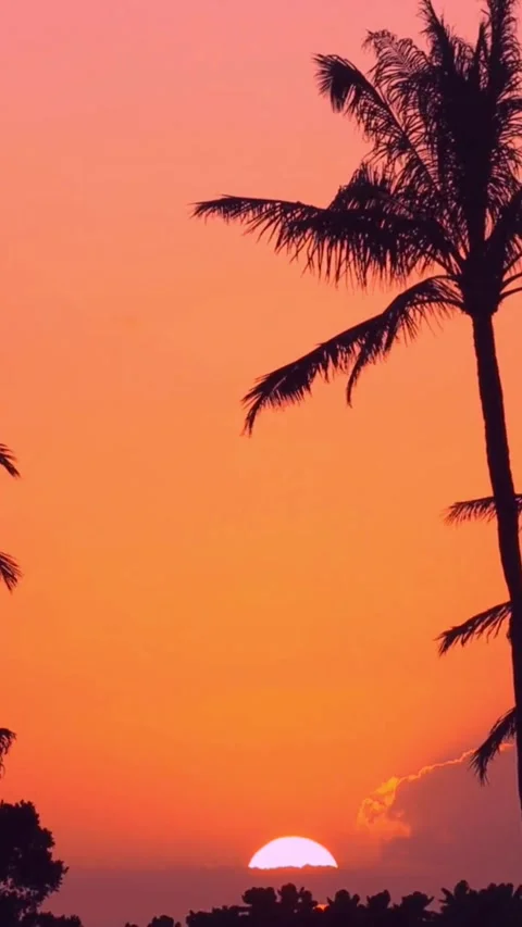 Sunset, beach, timelapse Stock Footage 314986595