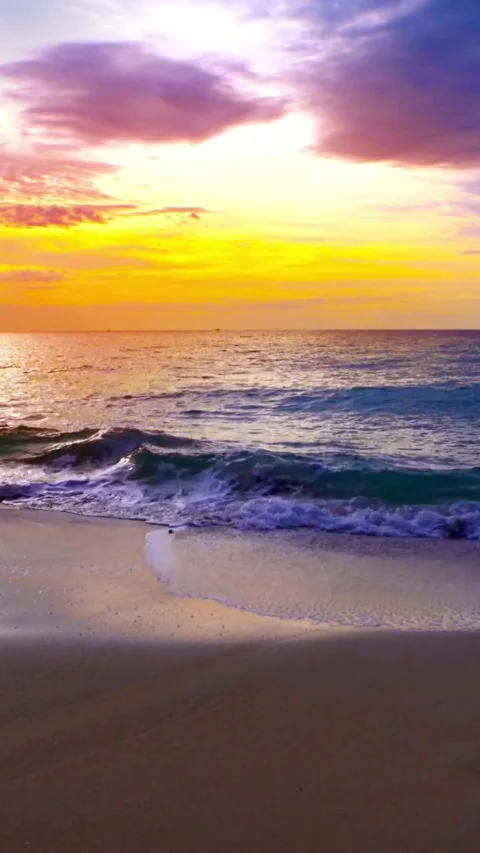 Sunset, beach, timelapse Stock Footage 314986659