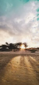 Sunset on the beach with trees in the background. Stock Photos