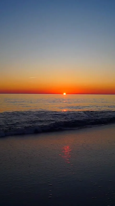 Sunset at the beach vertical Video stock 224087156