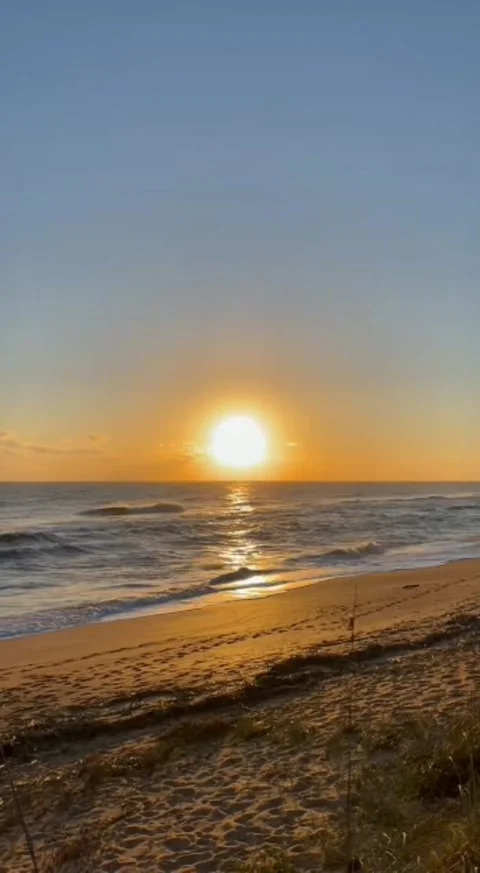 Sunset beach view Stock Footage 229608407