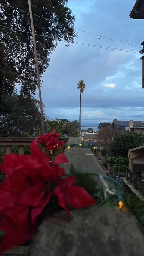 Sunset Beach View - Monterey, CA Stock Footage 305511807