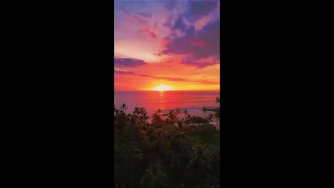 Sunset beach view with ocean waves, tropical trees, and colorful sky Stock Footage 347699368