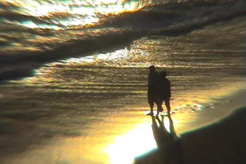 Sunset beach walk2 Stock Footage 367999
