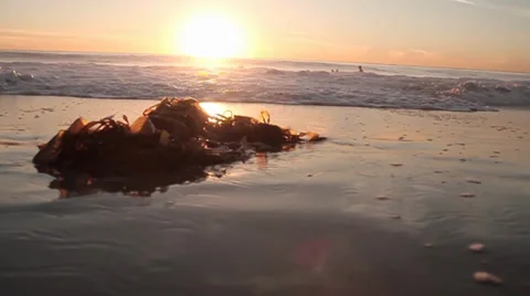 Sunset Beach Wave to Camera Stock Footage 33546791