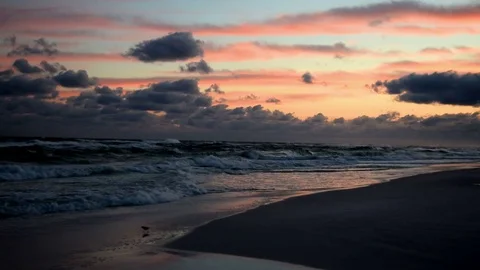 Sunset Beach Waves 動画素材 75816834