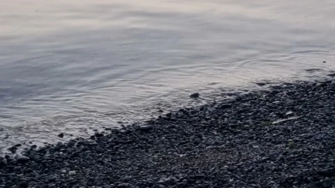 Sunset beach waves Stock Footage 236915210