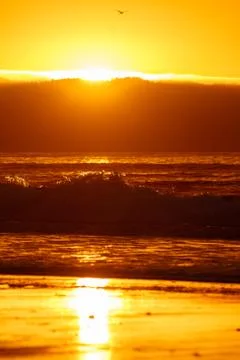 Sunset at the beach with waves Stock Photos