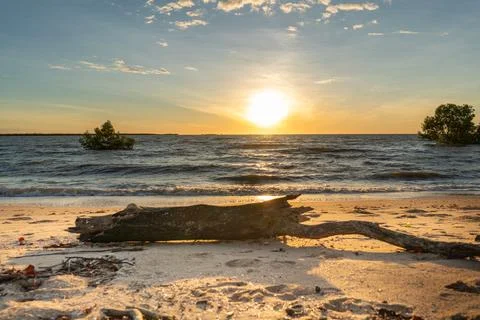 Sunset on a beach while looking at a log 스톡 사진