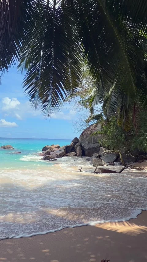 Sunset beach, white sandy beach, turquoise water, Mahe, Seychelles 30fps 스톡 동영상 347883775