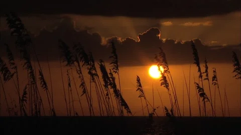 Sunset Beachfront Florida Gulf Coast 스톡 동영상 167396392