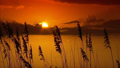 Sunset Beachfront Florida Gulf Coast Stock Footage 167396572