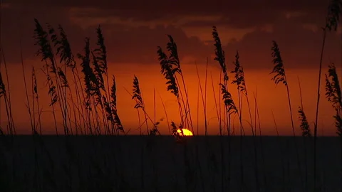Sunset Beachfront Florida Gulf Coast Stock Footage 167396716