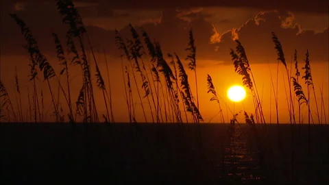 Sunset Beachfront Florida Gulf Coast Stock Footage 167396757