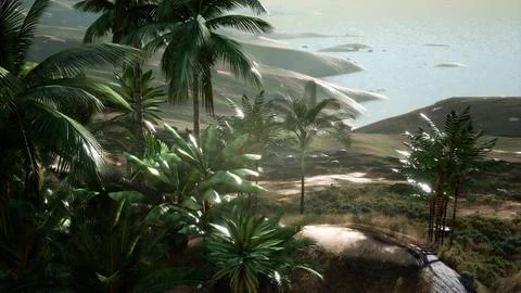 Sunset Beams through Palm Trees Stock Illustration