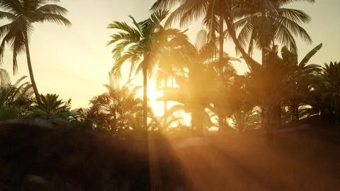 Sunset Beams through Palm Trees Stock Illustration