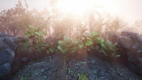 Sunset Beams through Palm Trees Illustrazione stock