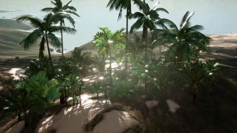 Sunset Beams through Palm Trees Illustrazione stock